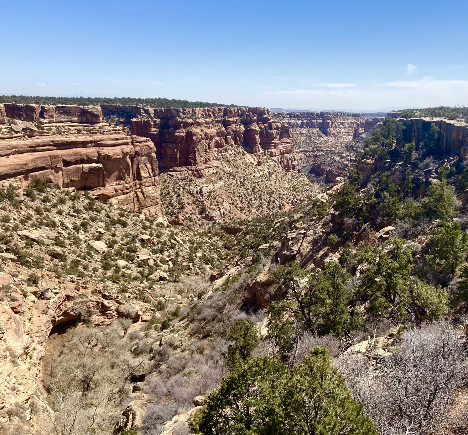 Canyon overlook